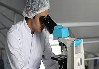 adult-biology-chemical-356040-1 adult-biology-chemical-356040-1